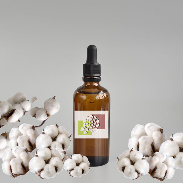 زيت زهرة القطن العطري