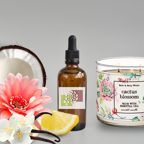 زيت زهرة الصبار العطري